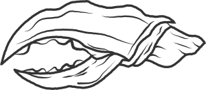 Sponsor Logo for Big Claw Media