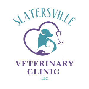 Sponsor Logo for Slatersville Vet
