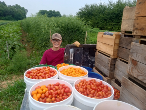Sponsor Logo for Tuckey's Fruit and Vegetable Farm