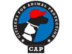 Logo for Citizens for Animal Protection