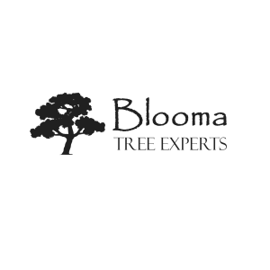 Sponsor Logo for Blooma Tree Experts