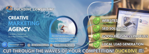 Sponsor Logo for Duckdive Consulting