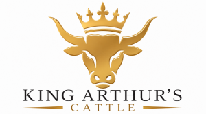 Logo for King Arthur’s Cattle