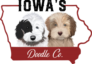 Sponsor Logo for Iowa's Doodle Co.
