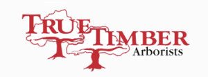 Sponsor Logo for Truetimber Arborists