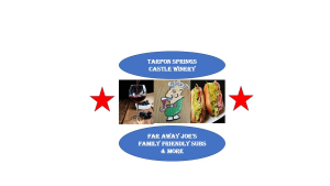 Sponsor Logo for Tarpon Springs Castle Winery