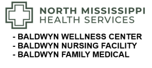 Sponsor Logo for North Mississippi Health Services
