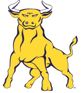 5K Golden Bull Run 
