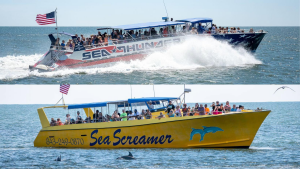 Partner Logo for Sea Screamer