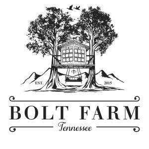 Sponsor Logo for Bolt Treehouse