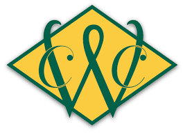 Sponsor Logo for Wales Copy Center