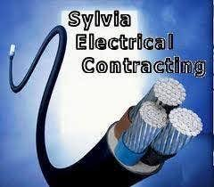 Sponsor Logo for Sylvia Electricalhttps://www.sylviaelectrical.com/