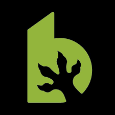 Sponsor Logo for Bad Lizard