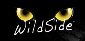 Sponsor Logo for WildSide Online