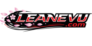 Sponsor Logo for Leanevu.com