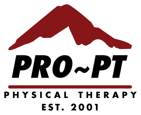 Sponsor Logo for PRO-PT