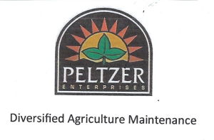 Sponsor Logo for Peltzer Enterprises