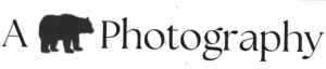 Sponsor Logo for A Bear Photography