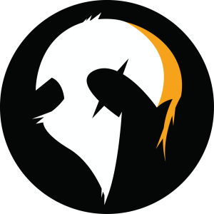Sponsor Logo for Anonymous Warrior LLC