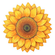 Sponsor Logo for Mary Woods
