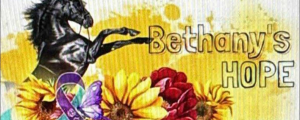 Sponsor Logo for Bethany’s Hope