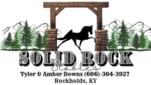 Sponsor Logo for Solid Rock Stables