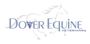Sponsor Logo for Dover Equine