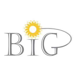 Sponsor Logo for BiG