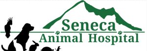 Sponsor Logo for Seneca Animal Hospital
