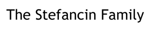 Sponsor Logo for The Stanfancin Family