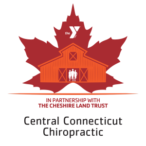 Logo for Central Connecticut Chiropractic