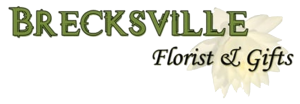 Sponsor Logo for Brecksville Florist & Gifts