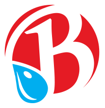 Sponsors / Partner Logo for Brooklyn Bagels