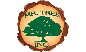 Sponsor Logo for Mr. Tree