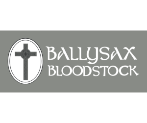 Sponsor Logo for Ballysax Bloodstock