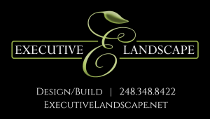 Sponsor Logo for Executive Landscape
