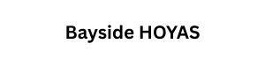 Sponsor Logo for Bayside HOYAS