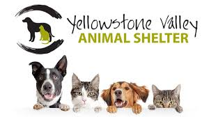 Sponsor Logo for Yellowstone Valley Animal Shelter