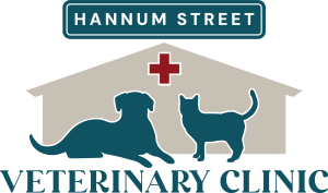 Sponsor Logo for Hannum Street Veterinary Clinic