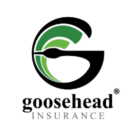 Sponsor Logo for goosehead insurance