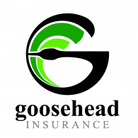 Sponsor Logo for Goosehead Insurance