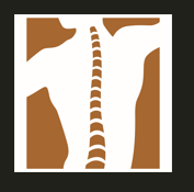 Sponsor Logo for Bode Chiropractic Center, Inc.