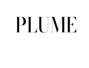 Sponsor Logo for Flume