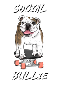 Sponsor Logo for Social Bullie