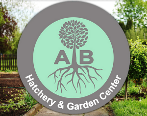 Sponsor Logo for AB Hatchery