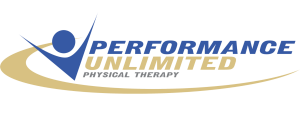 Sponsor Logo for Performance Unlimited