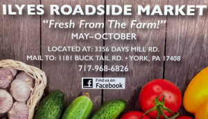 Sponsor Logo for Charles Ilyes Family Inc.