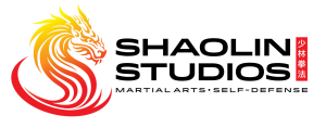 Sponsor Logo for Shaolin Studios