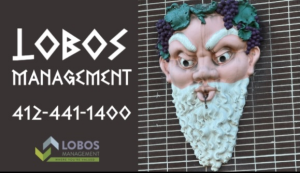 Sponsor Logo for Lobos Management