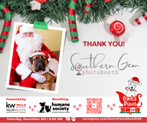 Sponsor Logo for Southern Gem Photobooth